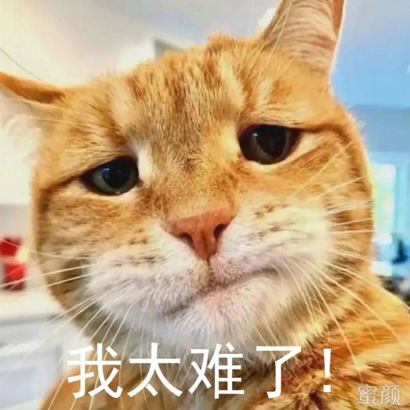 案例图片