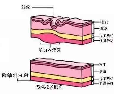 案例图片