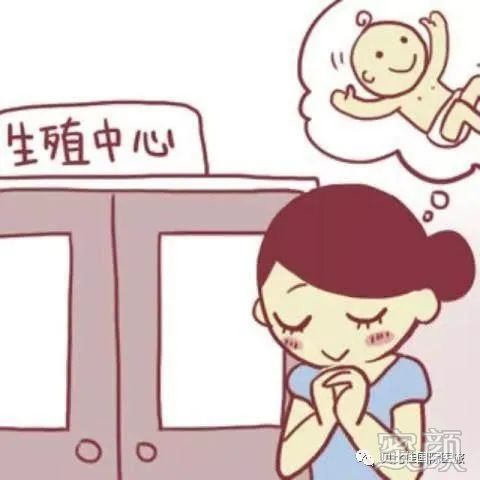 案例图片