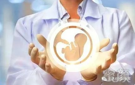 案例图片