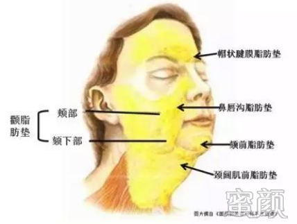 案例图片