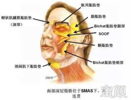 案例图片