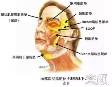 案例图片