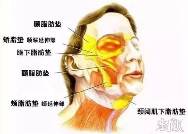 案例图片