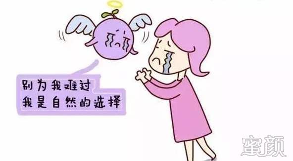 案例图片