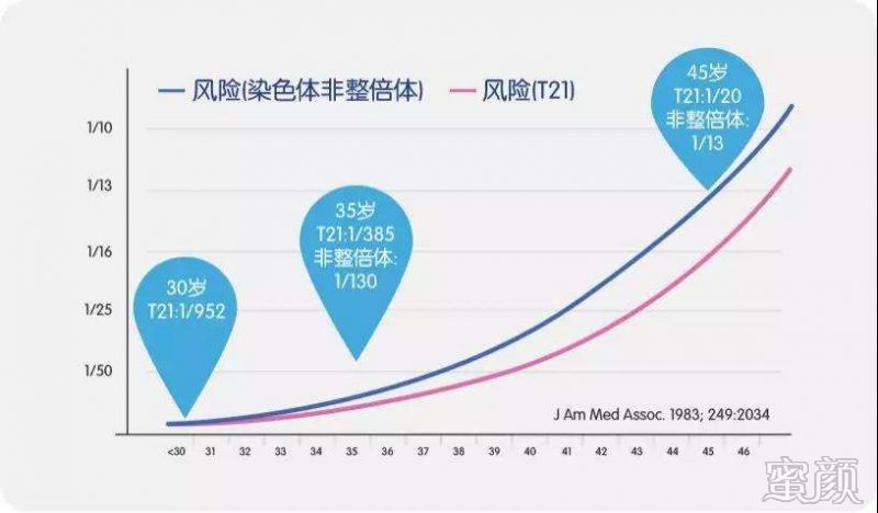 案例图片