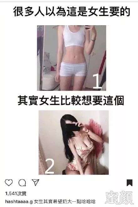 案例图片