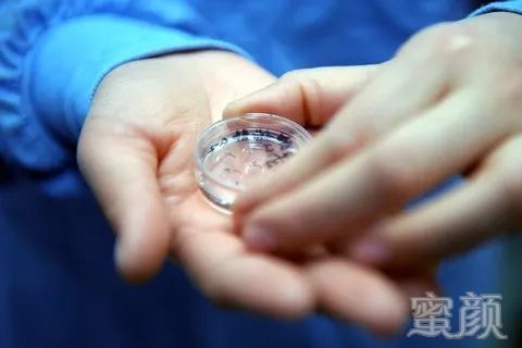 案例图片
