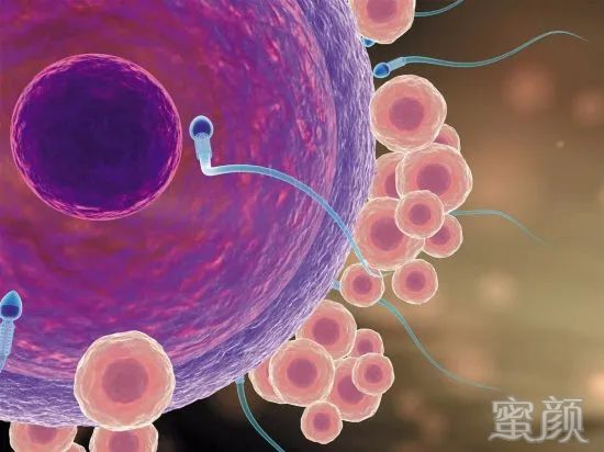 https://img.yiyiaimei.com/mnt/timg/200320/13455a149-2.jpg 案例图片