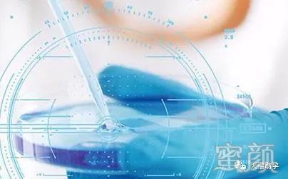 案例图片