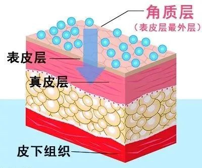 案例图片