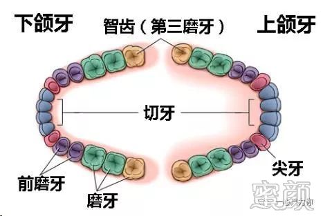 案例图片