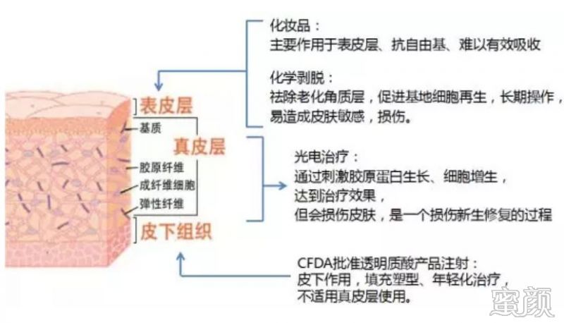 案例图片