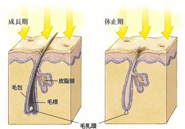 案例图片