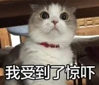 案例图片