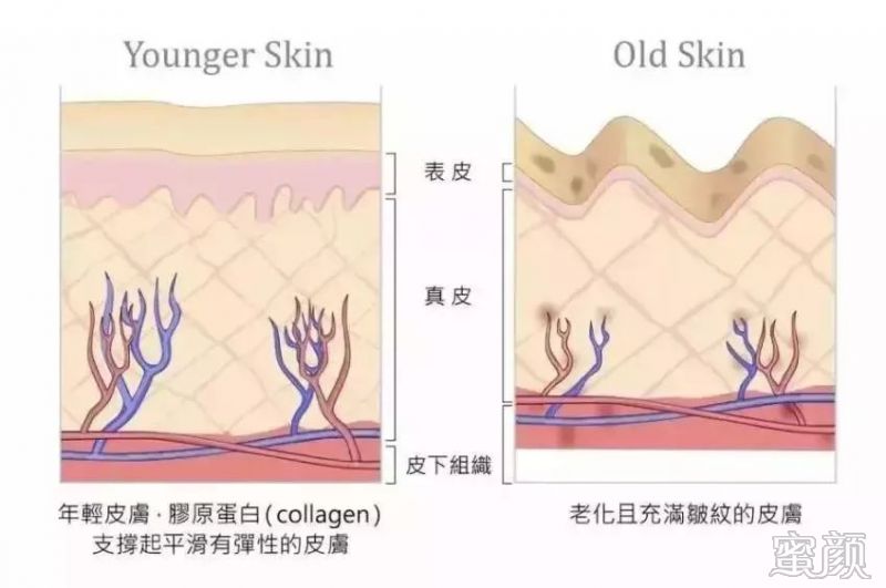 https://img.yiyiaimei.com/mnt/timg/200326/1241202646-2.jpg