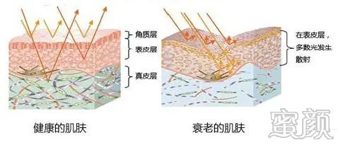 案例图片