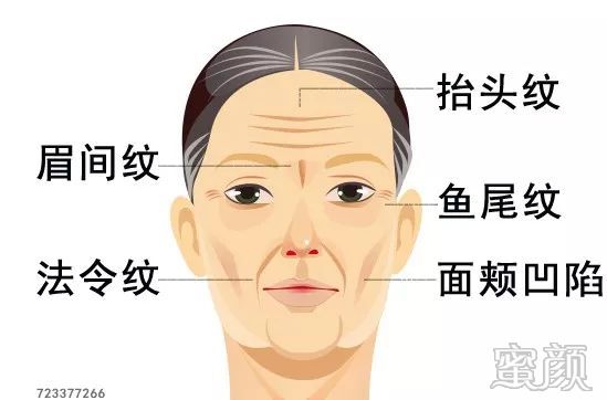 案例图片