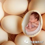 案例图片