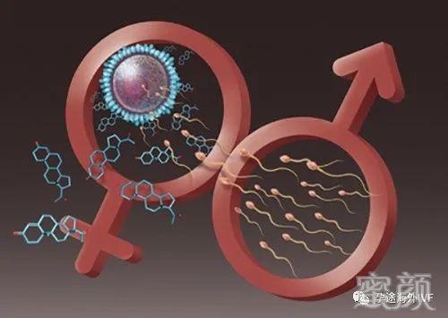 案例图片