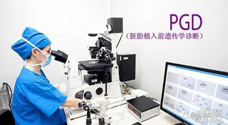 案例图片