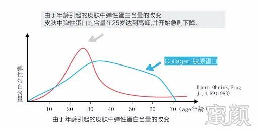 案例图片