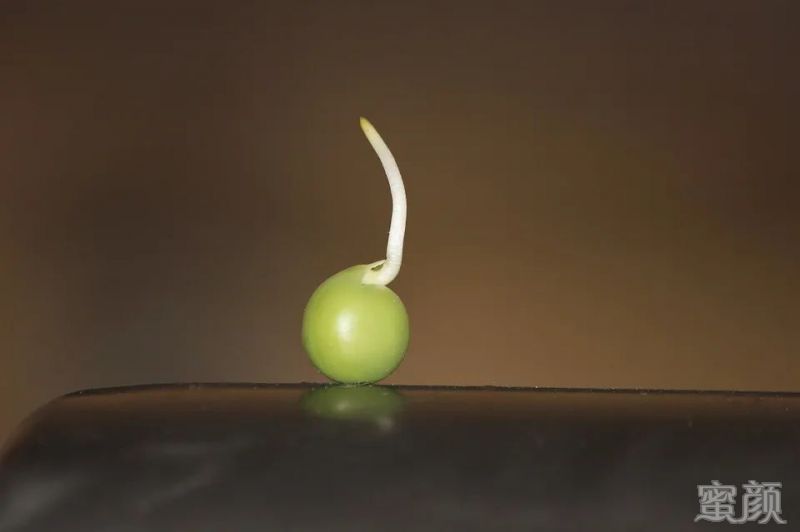 案例图片