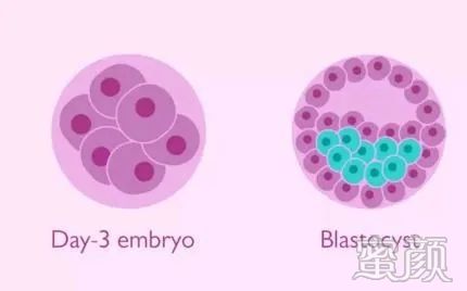 案例图片