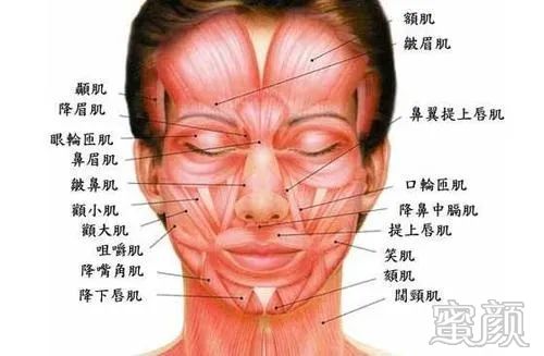 https://img.yiyiaimei.com/mnt/timg/200326/1J5125957-2.jpg