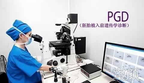 案例图片