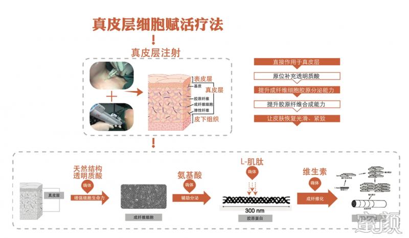 案例图片