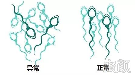 案例图片