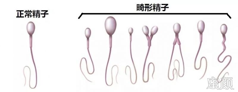 案例图片