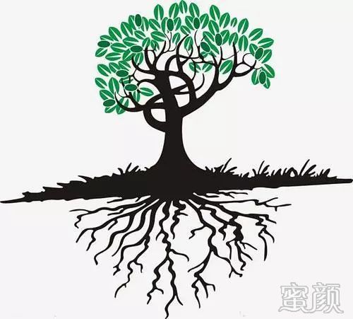 案例图片