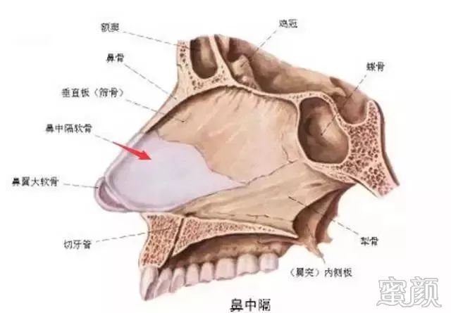 案例图片