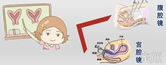 案例图片