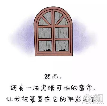 案例图片