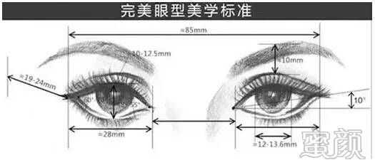 案例图片