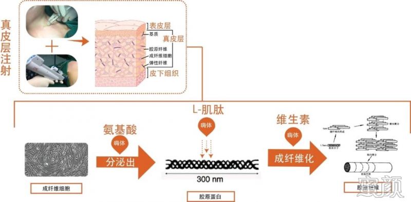 案例图片