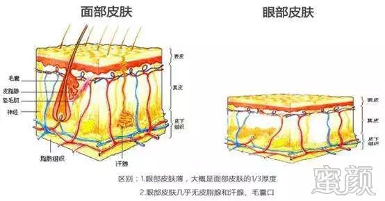 案例图片