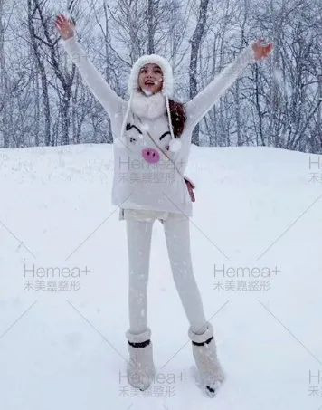 案例图片