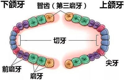 案例图片