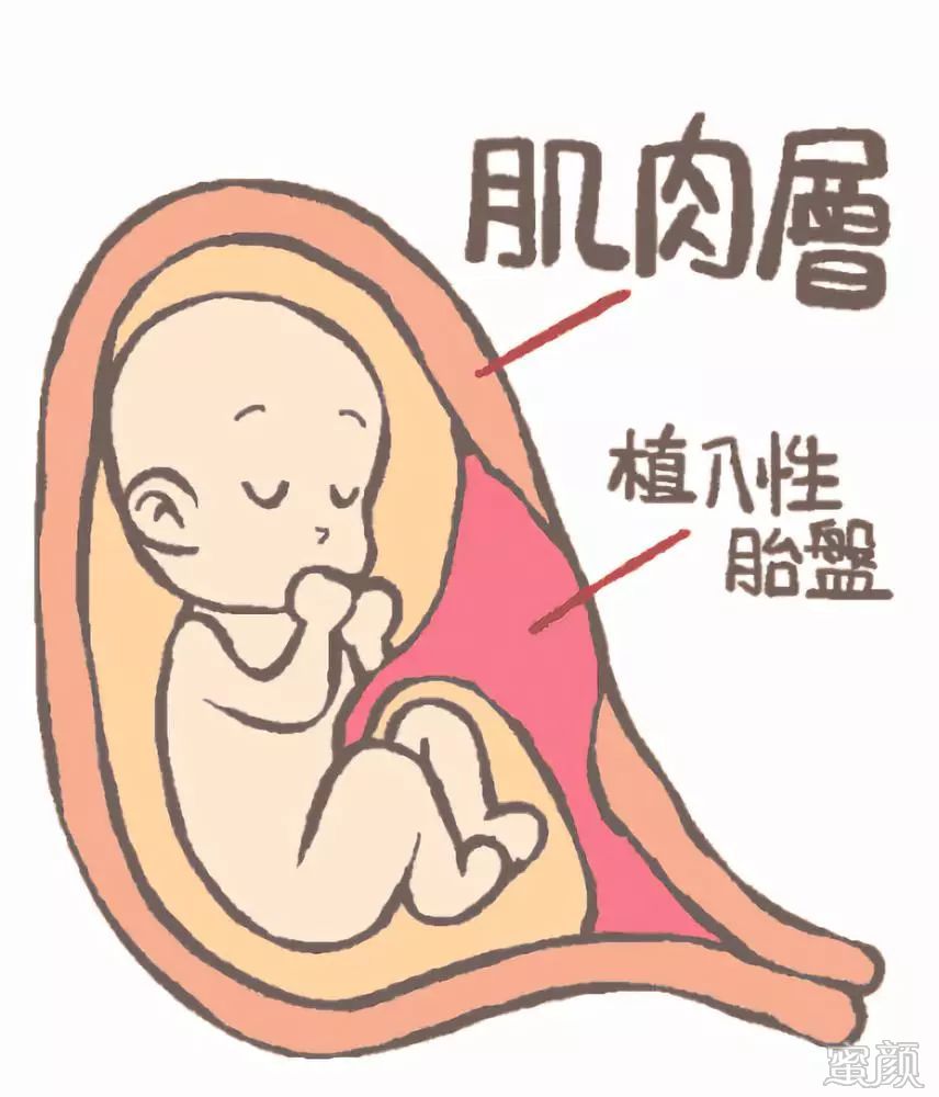 案例图片