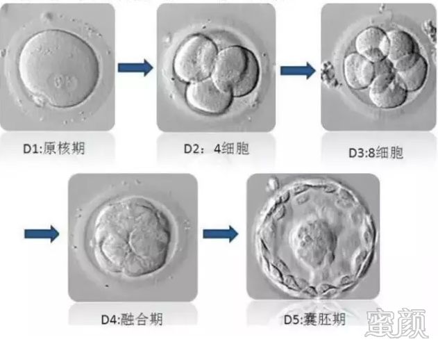 案例图片