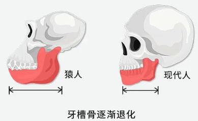 案例图片