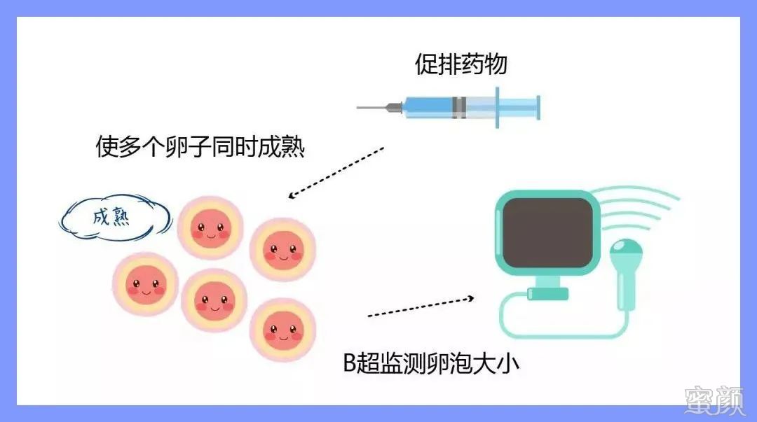 案例图片