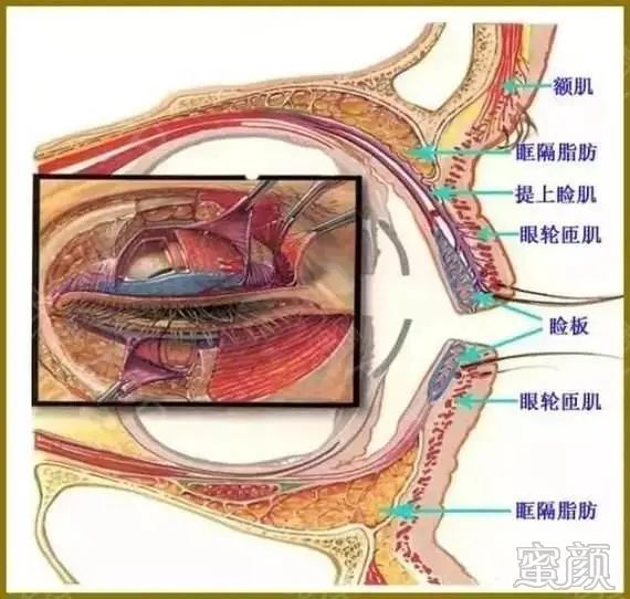 案例图片