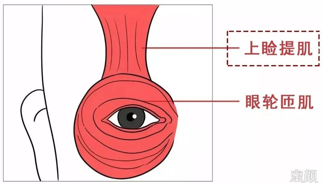https://img.yiyiaimei.com/mnt/timg/200409/145603MR-2.jpg