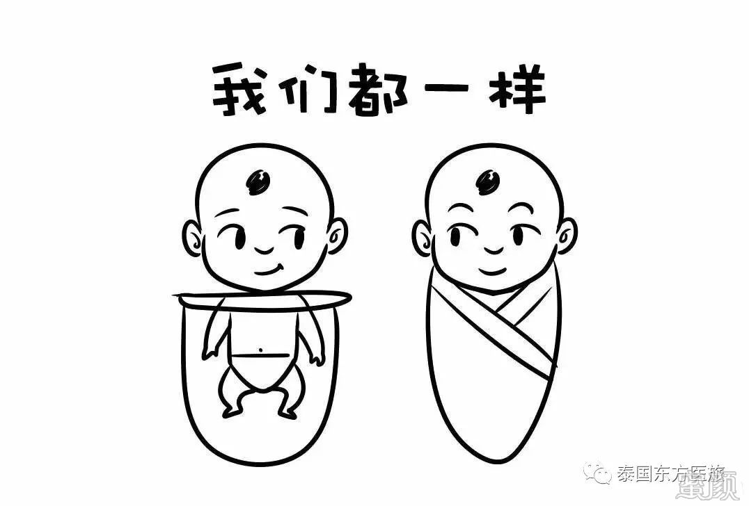 案例图片