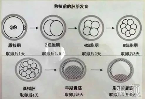 案例图片